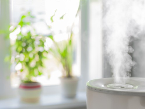 Humidifier services